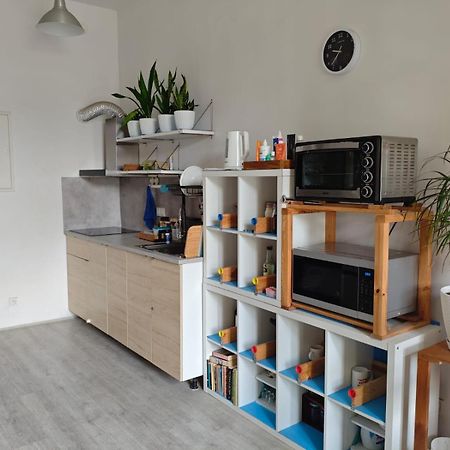 Evergreen Hostel 克拉科夫 外观 照片