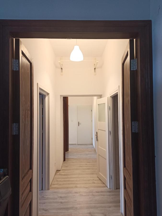 Evergreen Hostel 克拉科夫 外观 照片