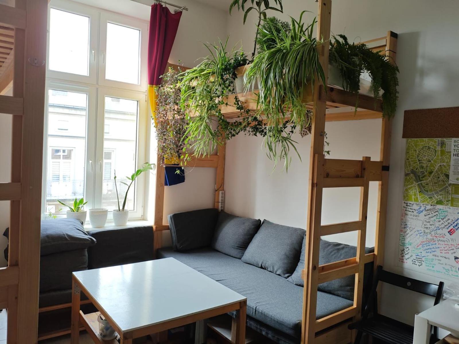 Evergreen Hostel 克拉科夫 外观 照片